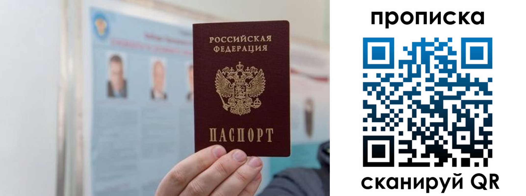 прописка 2025 в Каргополе